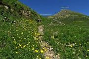 25 Dietro l'angolo ecco spuntare il Monte Vindiolo ( in giallo il percorso di Salita)